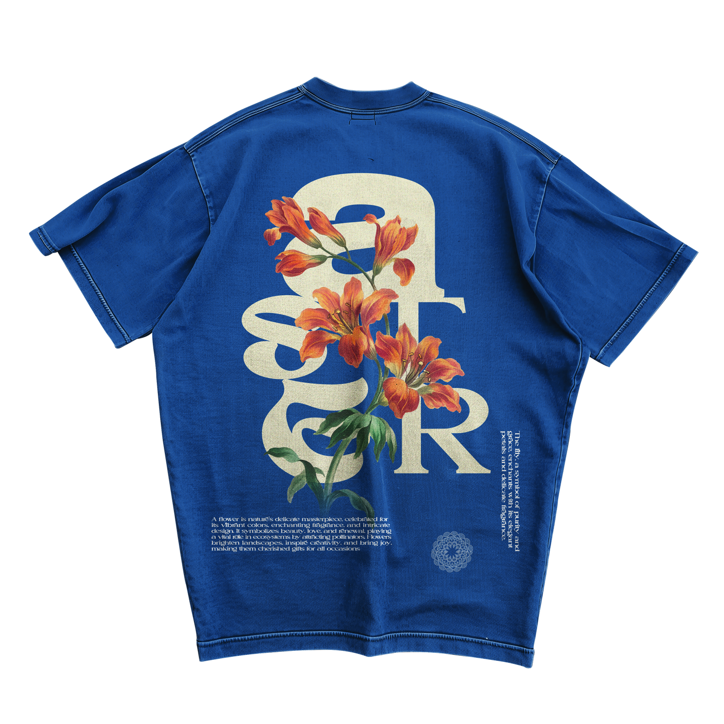 ASTER OVERSIZED T-SHIRT