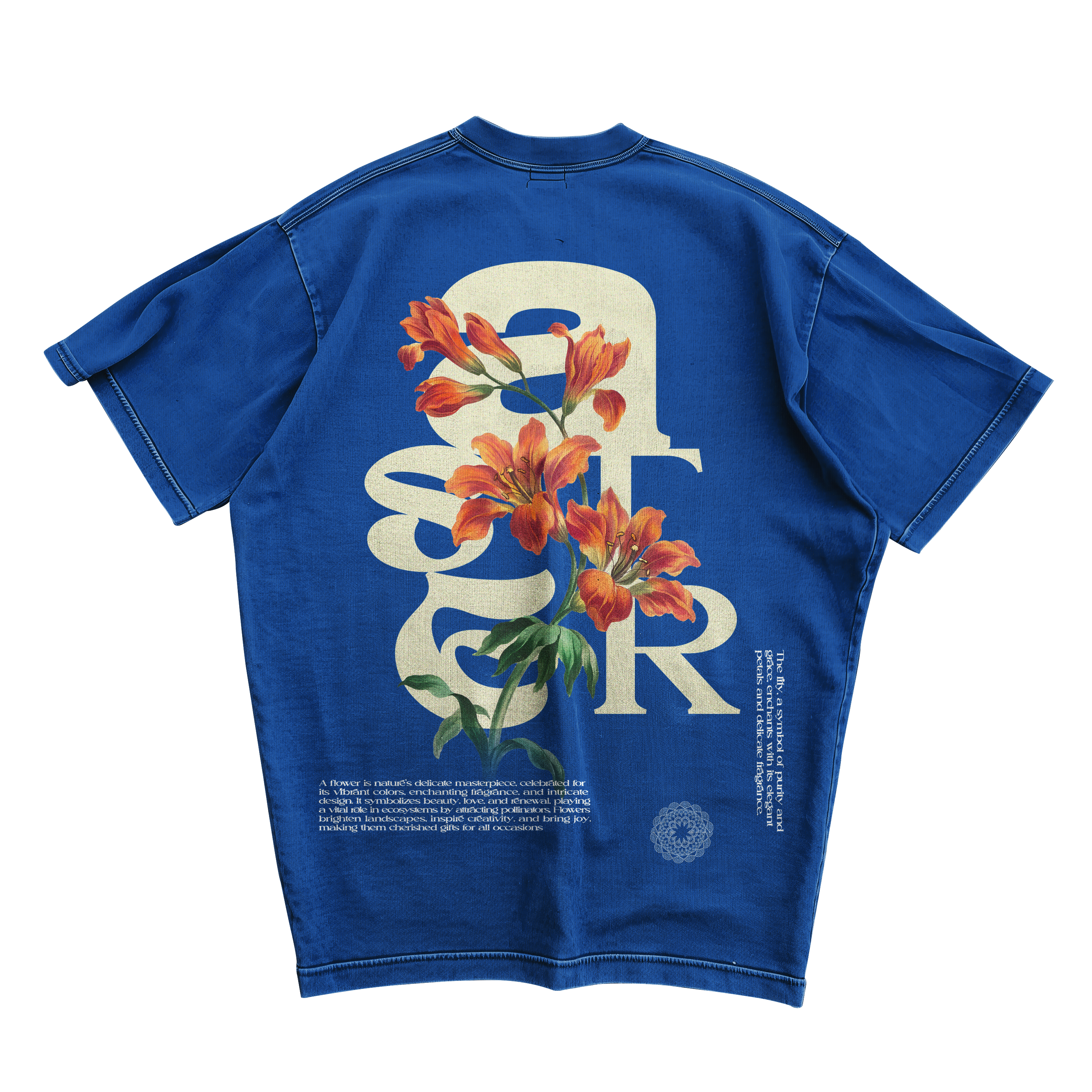 ASTER OVERSIZED T-SHIRT