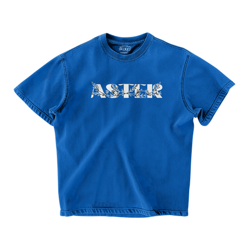 ASTER OVERSIZED T-SHIRT